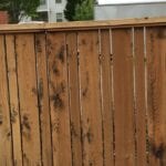 Decks, Railings & Fences